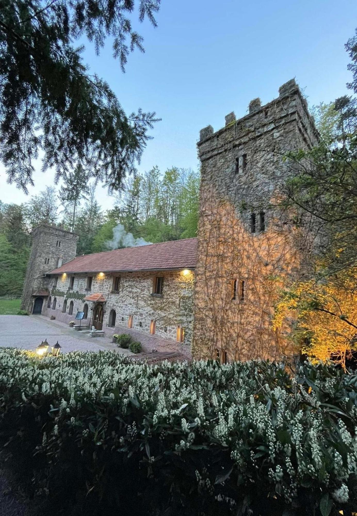 Le Chateau Du Landsberg 巴尔 外观 照片