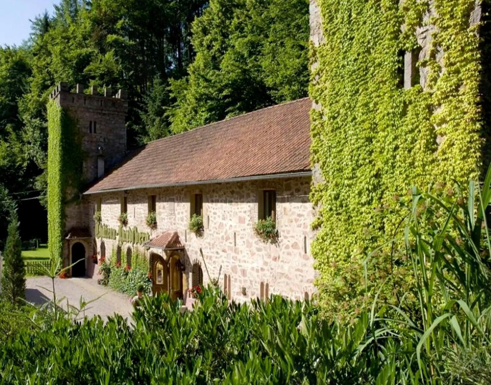 Le Chateau Du Landsberg 巴尔 外观 照片