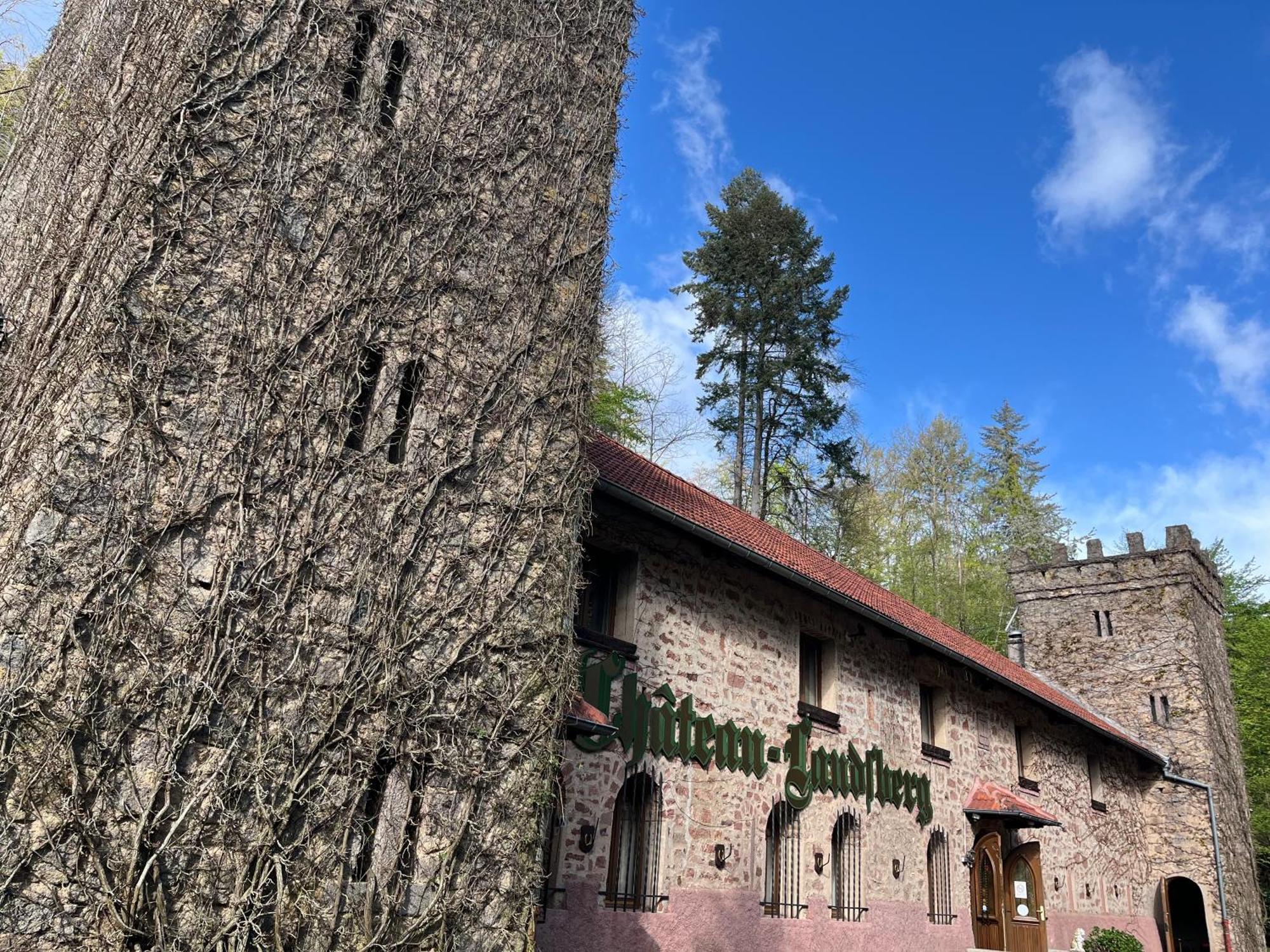 Le Chateau Du Landsberg 巴尔 外观 照片
