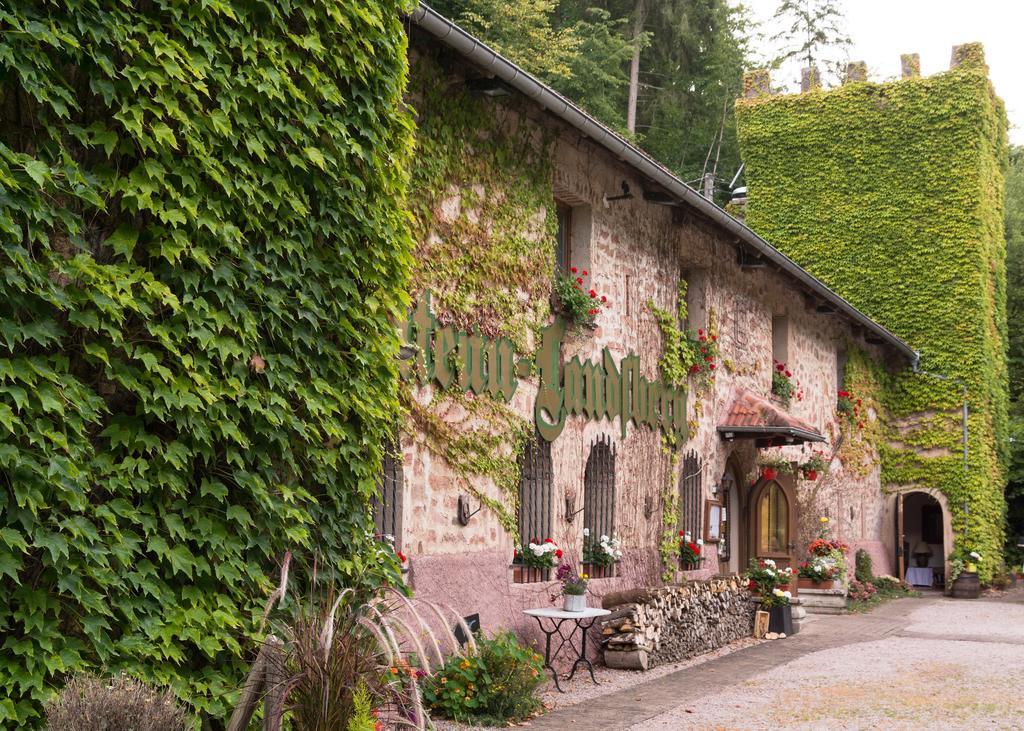 Le Chateau Du Landsberg 巴尔 外观 照片